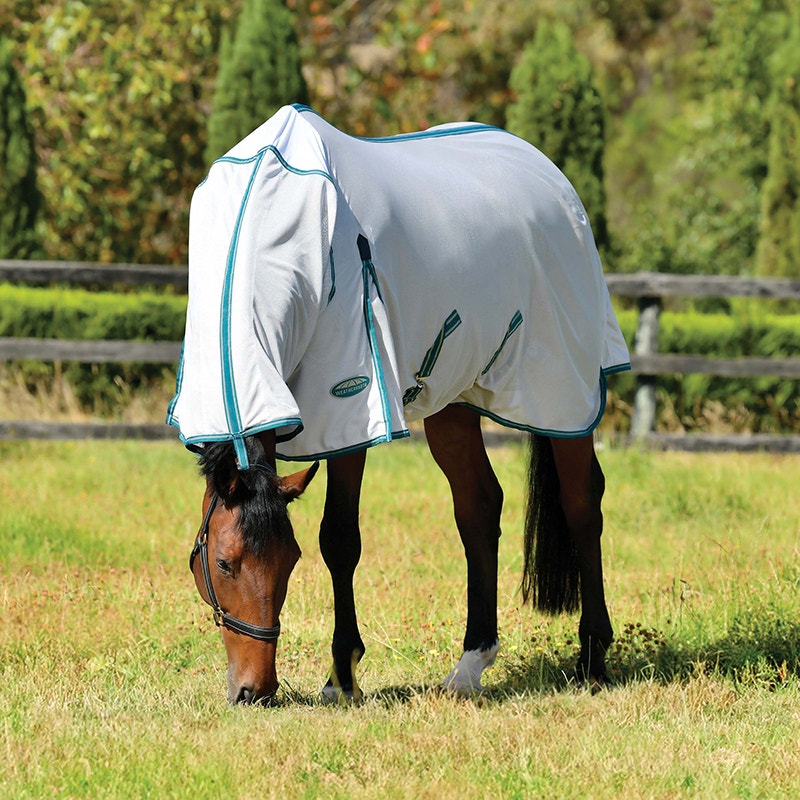 bay horse outside wearing ComFiTec Zephyr Plus Mesh Combo Neck