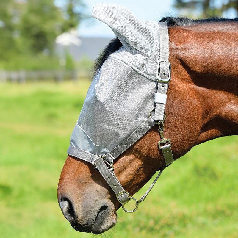 bay horse outside wearing ComFiTec Hexi Shield Dual Fly Mask
