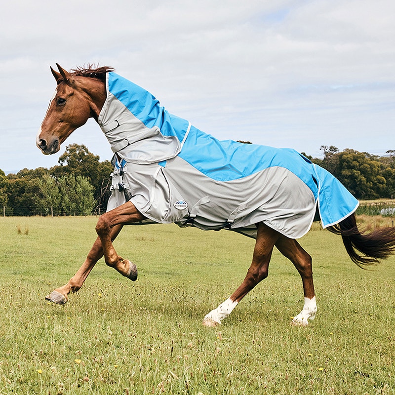 chestnut horse outside wearing ComFiTec Dual Shield Detach-A-Neck