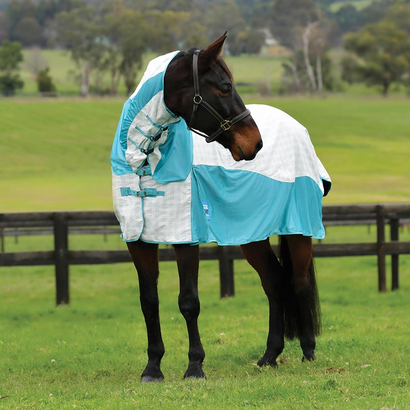 bay horse outside wearing Cotton Airstream II Detach-A-Neck