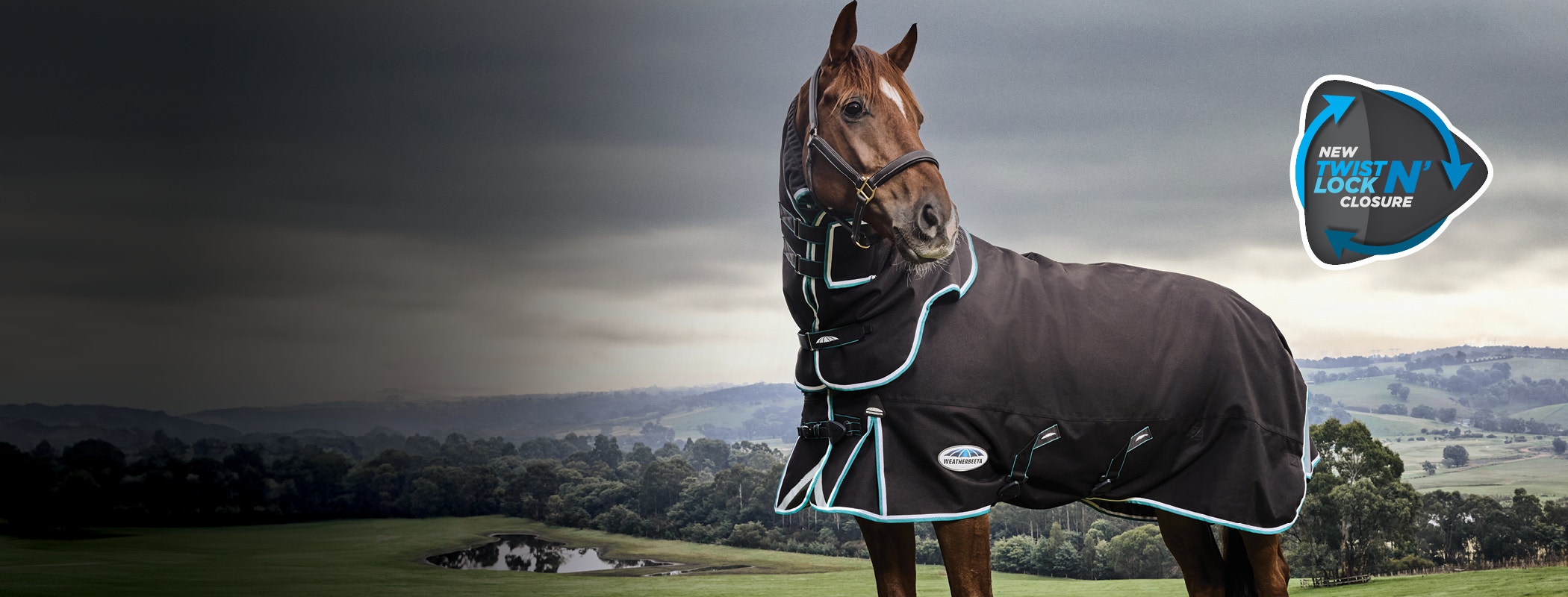 Horse wearing ComFiTec Ultra Comfi blanket standing in a field