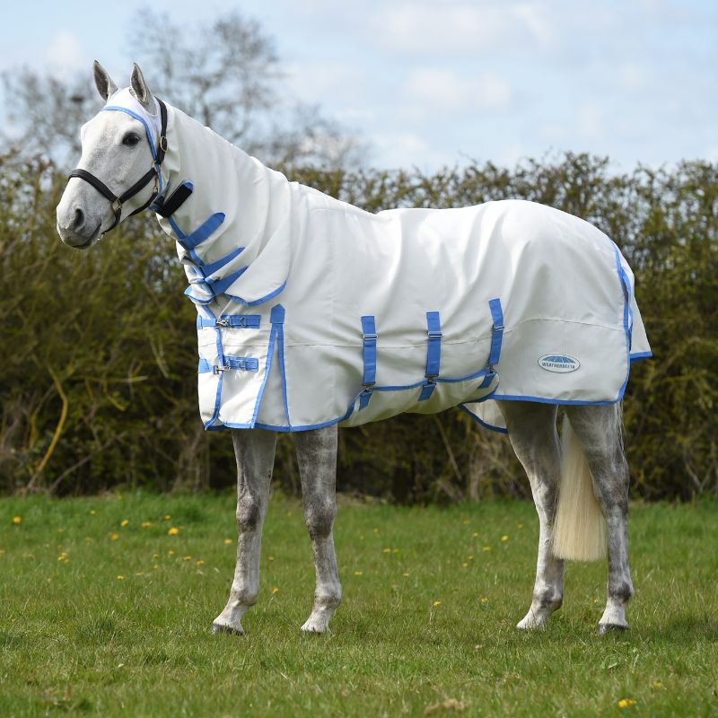 grey horse stood outside wearing weatherbeeta sweet itch rug with combo neck