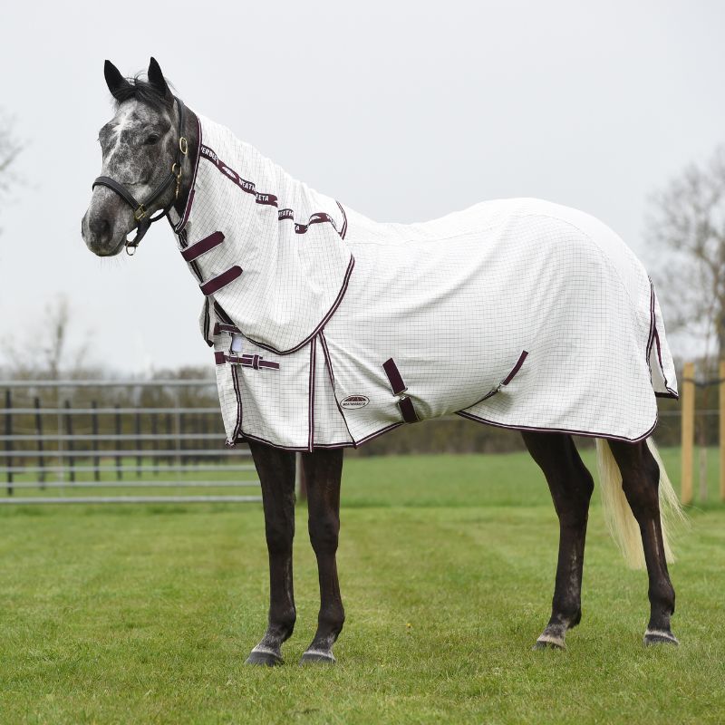 bay horse stood outside wearing weatherbeeta hybrid seasons combo neck summer sheet / fly rug