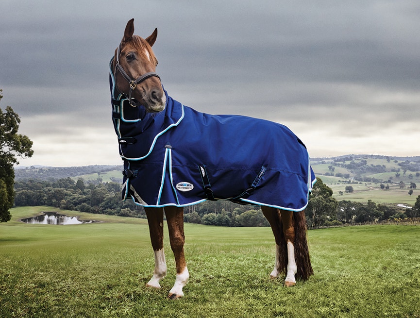 Horse wearing ComFiTec Ultra Hardi blanket standing in a field