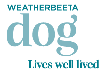WeatherBeeta Dog