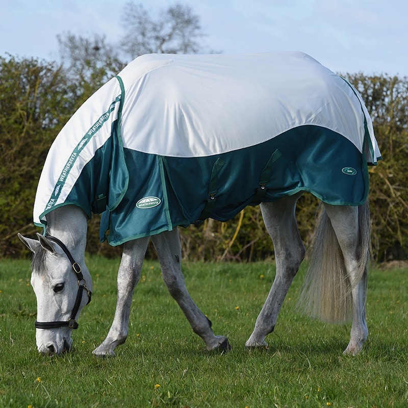 grey horse stood outside wearing weatherbeeta green-tec airflow mesh combo neck fly rug