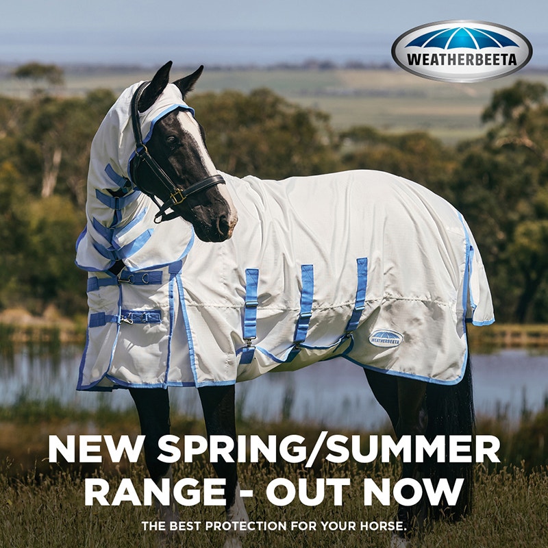 horse stood outside wearing weatherbeeta spring summer range fly rug