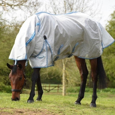Horse grazing wearing WeatherBeeta Hexi Shield fly rug