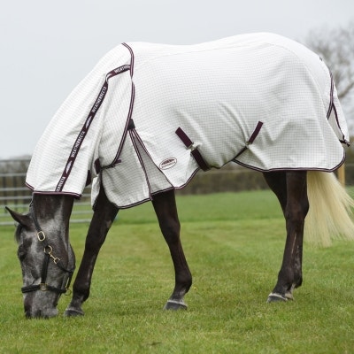 Horse grazing while wearing WeatherBeeta hybrid seasons fly rug