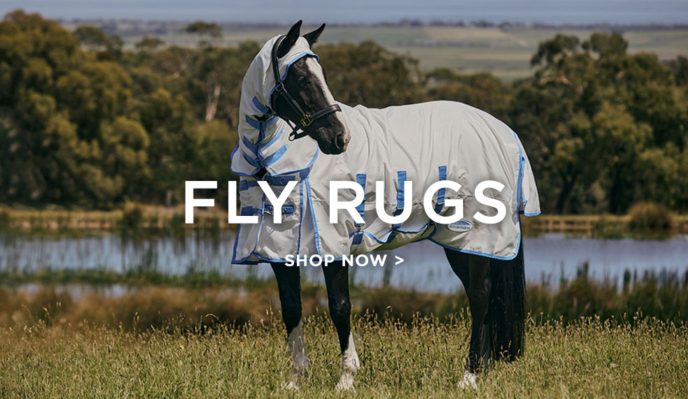 shop new spring summer fly mesh horse rugs