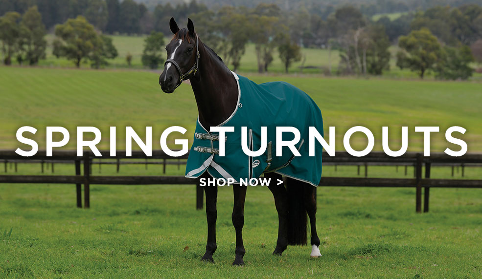 shop new spring summer horse turnout rugs