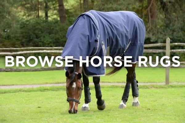 bay horse grazing outside wearing blue weatherbeeta combo turnout rug. browse horse rugs