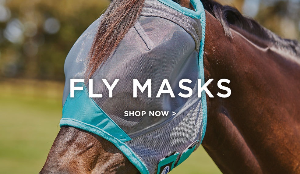 bay horse wearing blue and grey fly mask. shop weatherbeeta fly masks by clicking here