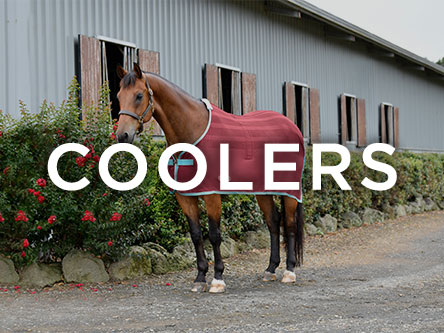 shop new weatherbeeta spring summer coolers