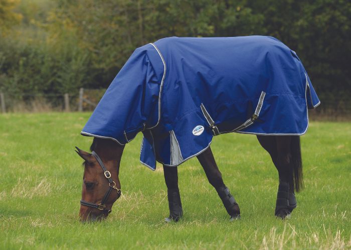 Horse grazing in field while wearing WeatherBeeta ComFiTec Premier Free II Detach-A-Neck Medium Lite rug