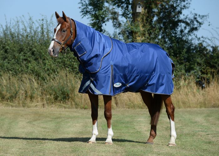 Horse standing in field wearing WeatherBeeta ComFiTec Ultra Tough II Detach-A-Neck rug
