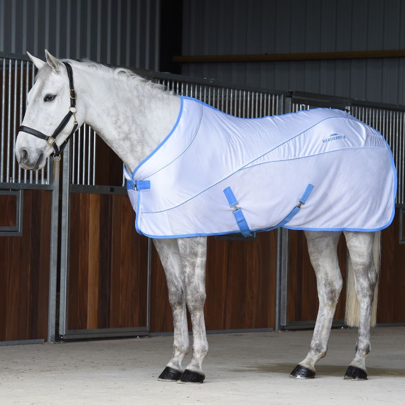 grey horse stood inside barn wearing weatherbeeta Air-Tec Cooler Standard Neck rug