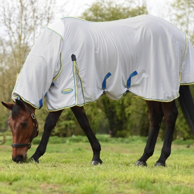 Horse grazing while weating WeatherBeeta Zephyr Plus Mesh Combo Neck fly rug