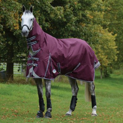 Horse wearing WeatherBeeta ComFiTec Plus turnout rug standing in a field