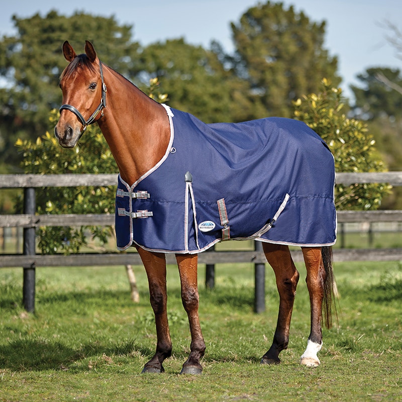 Lightweight 0g Turnout Rugs VS 50g Turnout Rugs