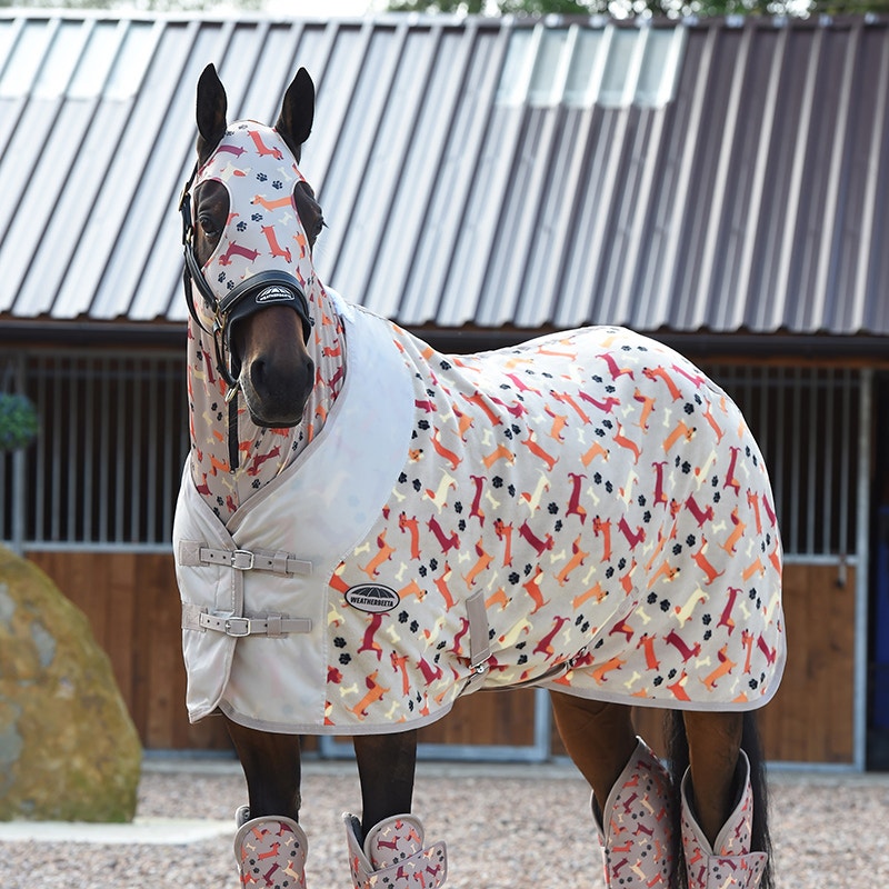 WeatherBeeta Autumn/Winter 2024 Rug Collection