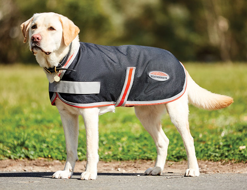 WeatherBeeta ComFiTec Therapy-Tec Dog Coats