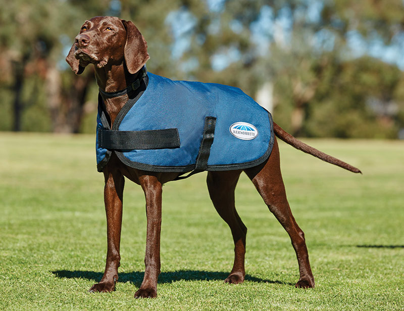 WeatherBeeta ComFiTec Classic Dog Coat