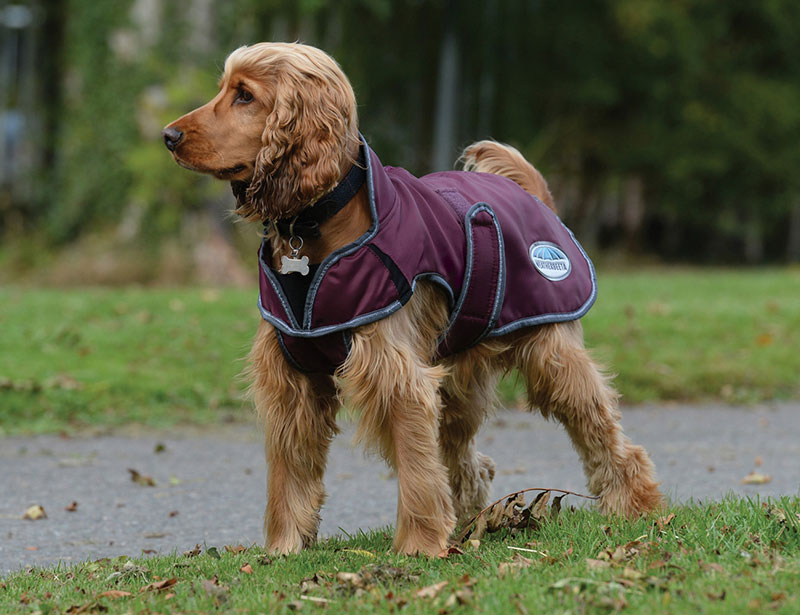 WeatherBeeta ComFiTec Windbreaker Free