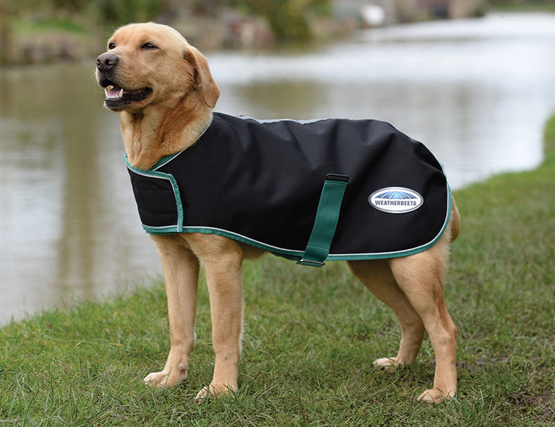 WeatherBeeta Green-Tec Dog Coats