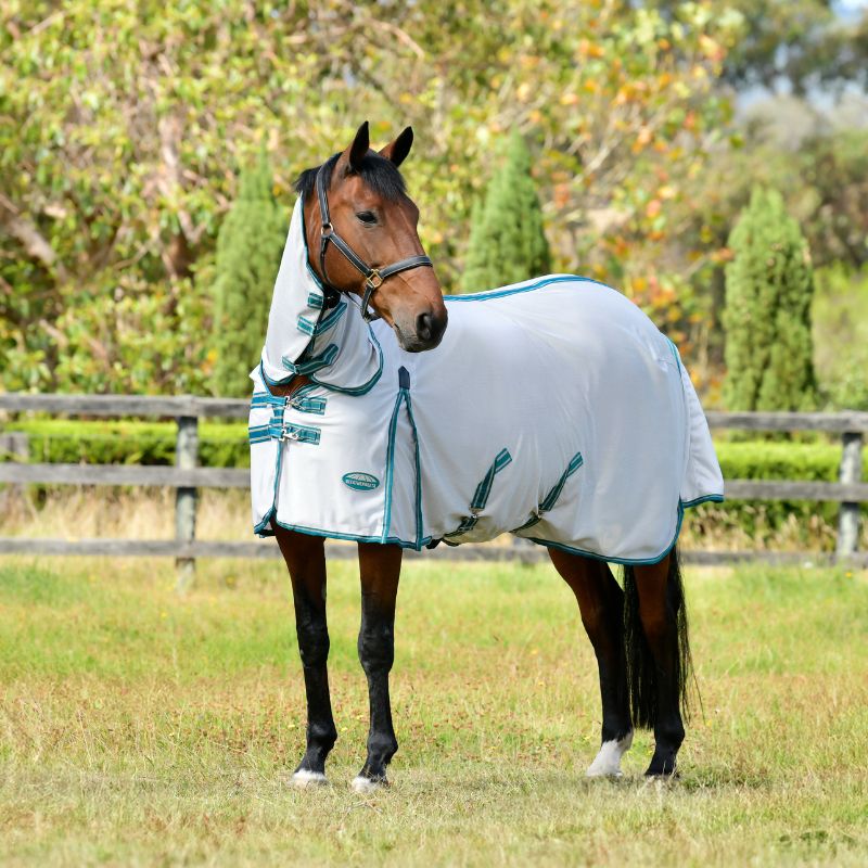 bay horse outside wearing WeatherBeeta zephyr plus mesh combo neck fly rug