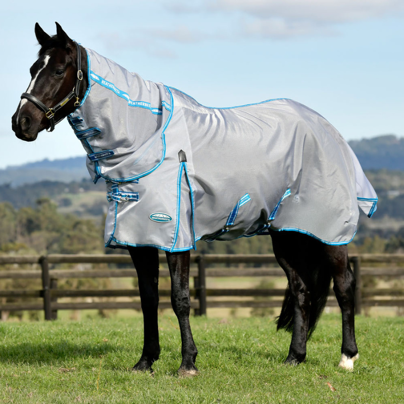 dark bay horse stood outside in paddock wearing weatherbeeta hexi shield fly rug