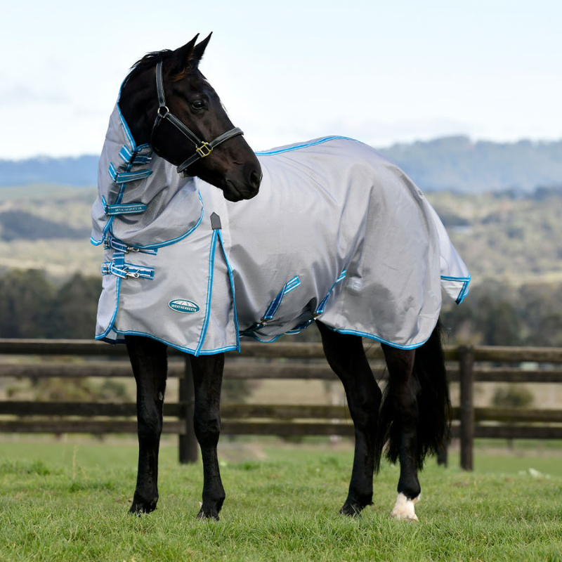 dark bay horse stood outside in a paddock wearing the weatherbeeta hexi shield combo neck fly rug