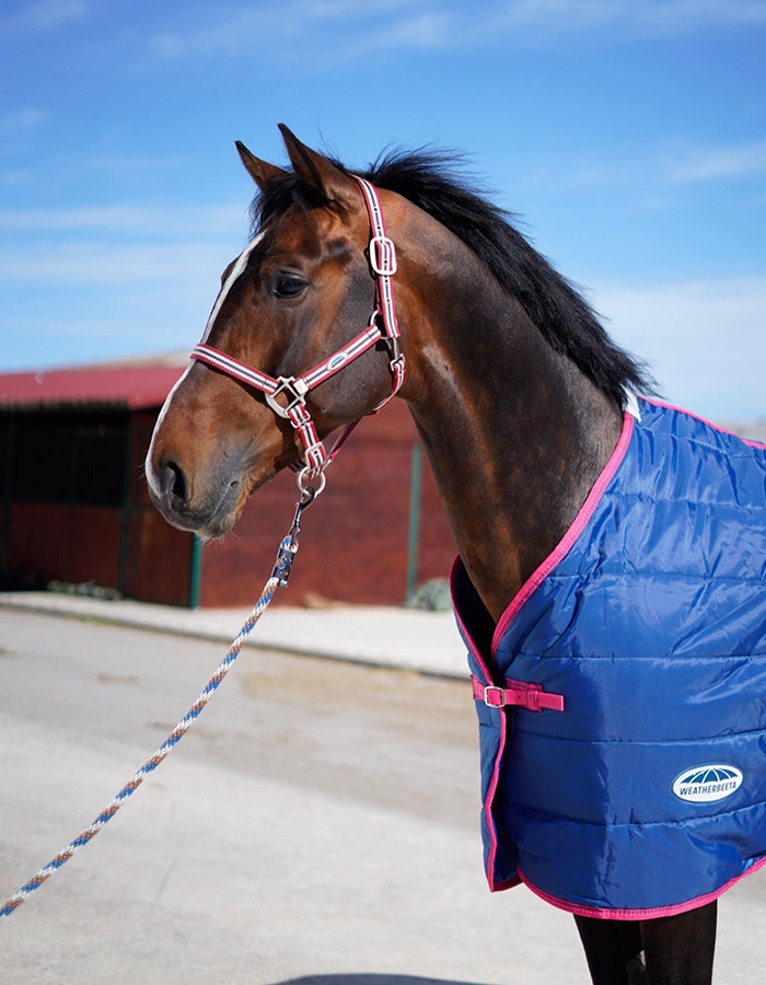 weatherbeeta brand ambassador oakingham stud